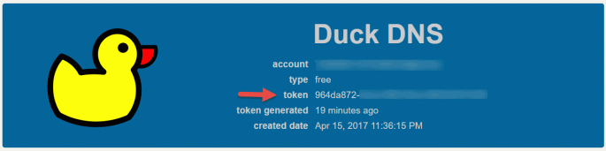Duck_DNS_Domain_Token